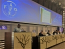 FAO/OECD Seminar on Agricultural Outlook and Policy Monitoring and Evaluation